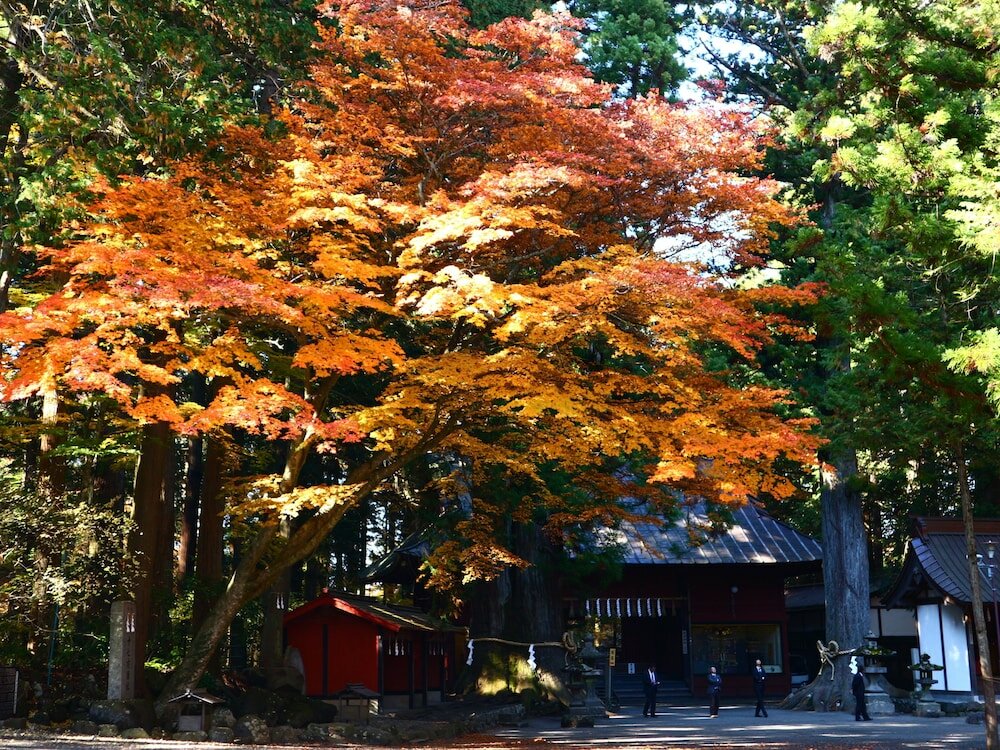 Фото Hostel Fujisan You
