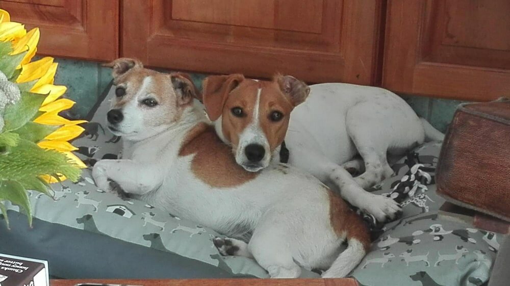 Фото Admiralty B&b