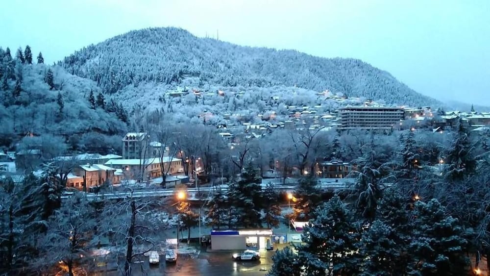 Фото Borjomi Palace