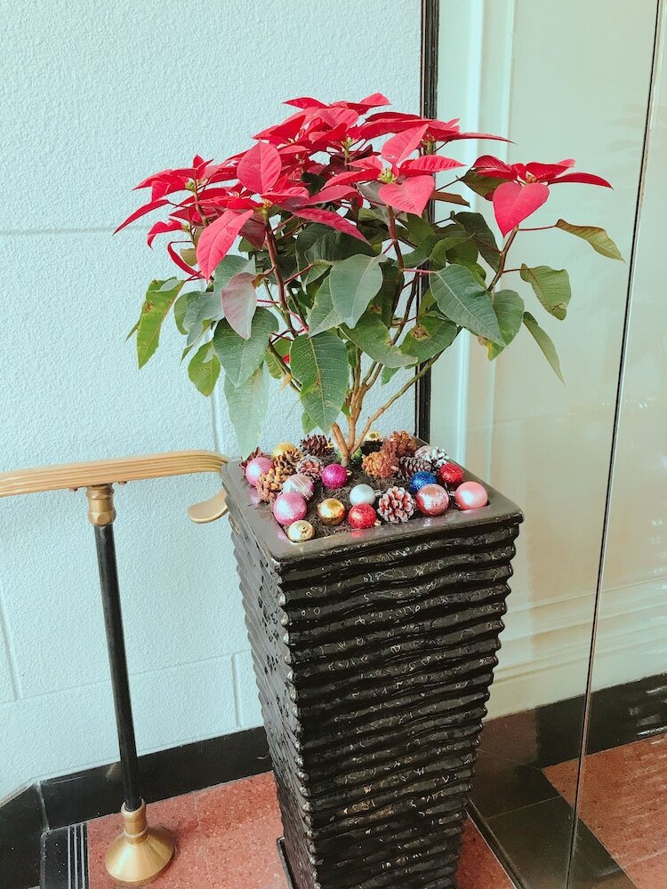 Фото Sunway Hotel Hanoi