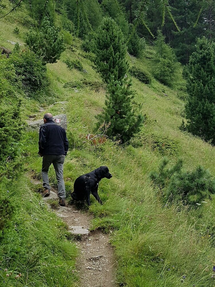 Фото Alphotel Stocker