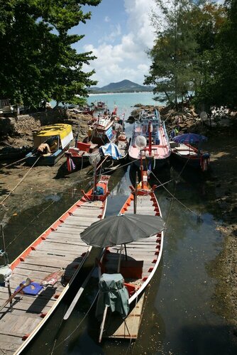 Гостиница Samui First House Hotel в Провинции Сураттани