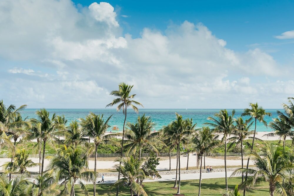 Фото The Penguin Hotel