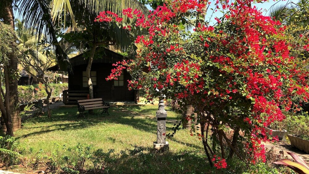 Фото Resort Primo Bom Terra Verde