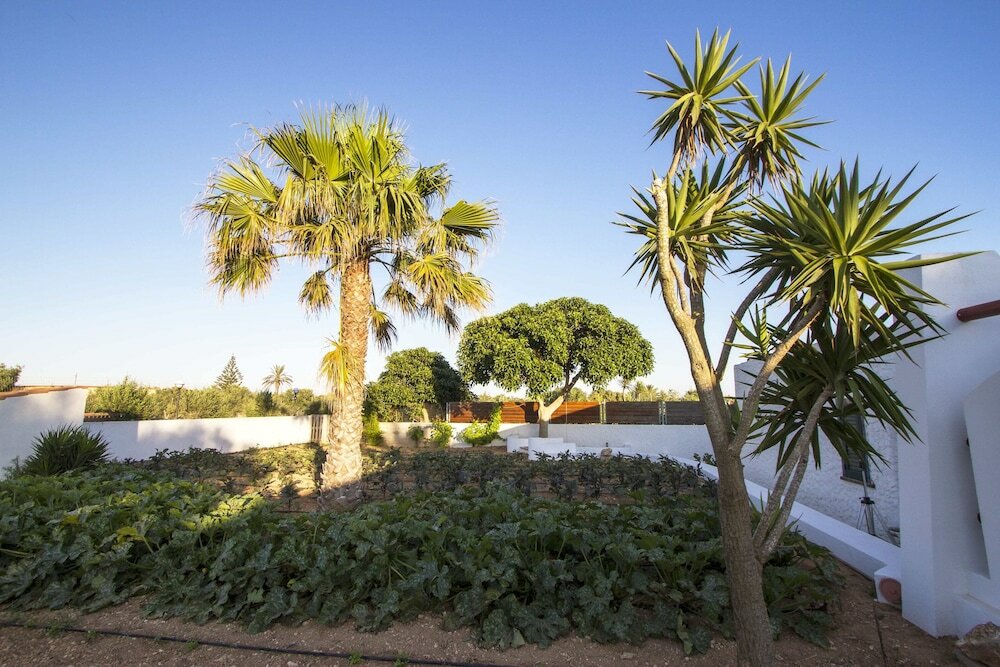 Фото Resort Costa House