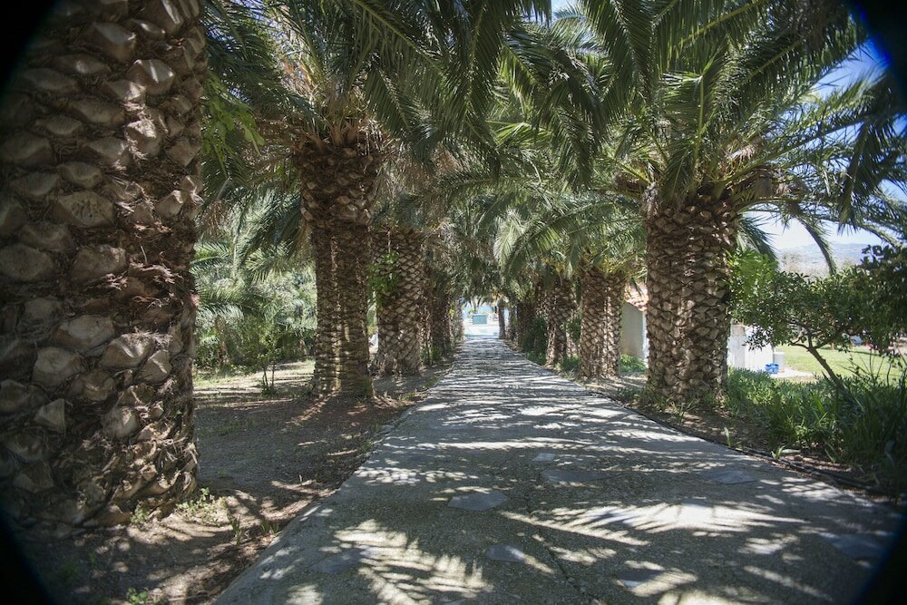 Фото Clara Hotel