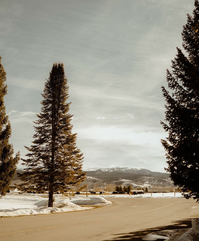 Фото Teton Valley Resort