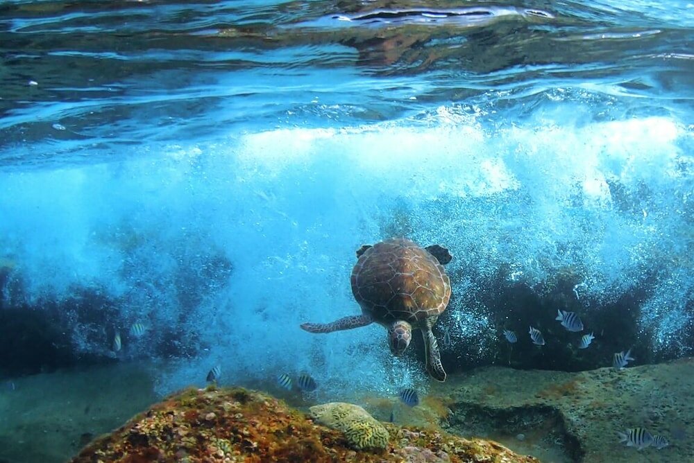 Фото Rancho El Sobrino