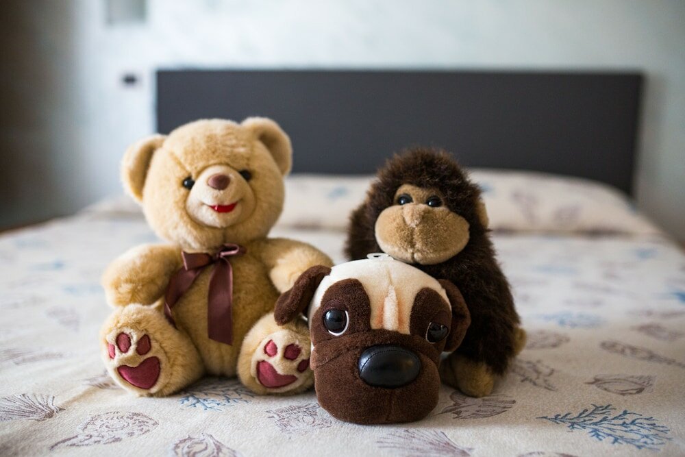 Фото Hotel Villa Franca