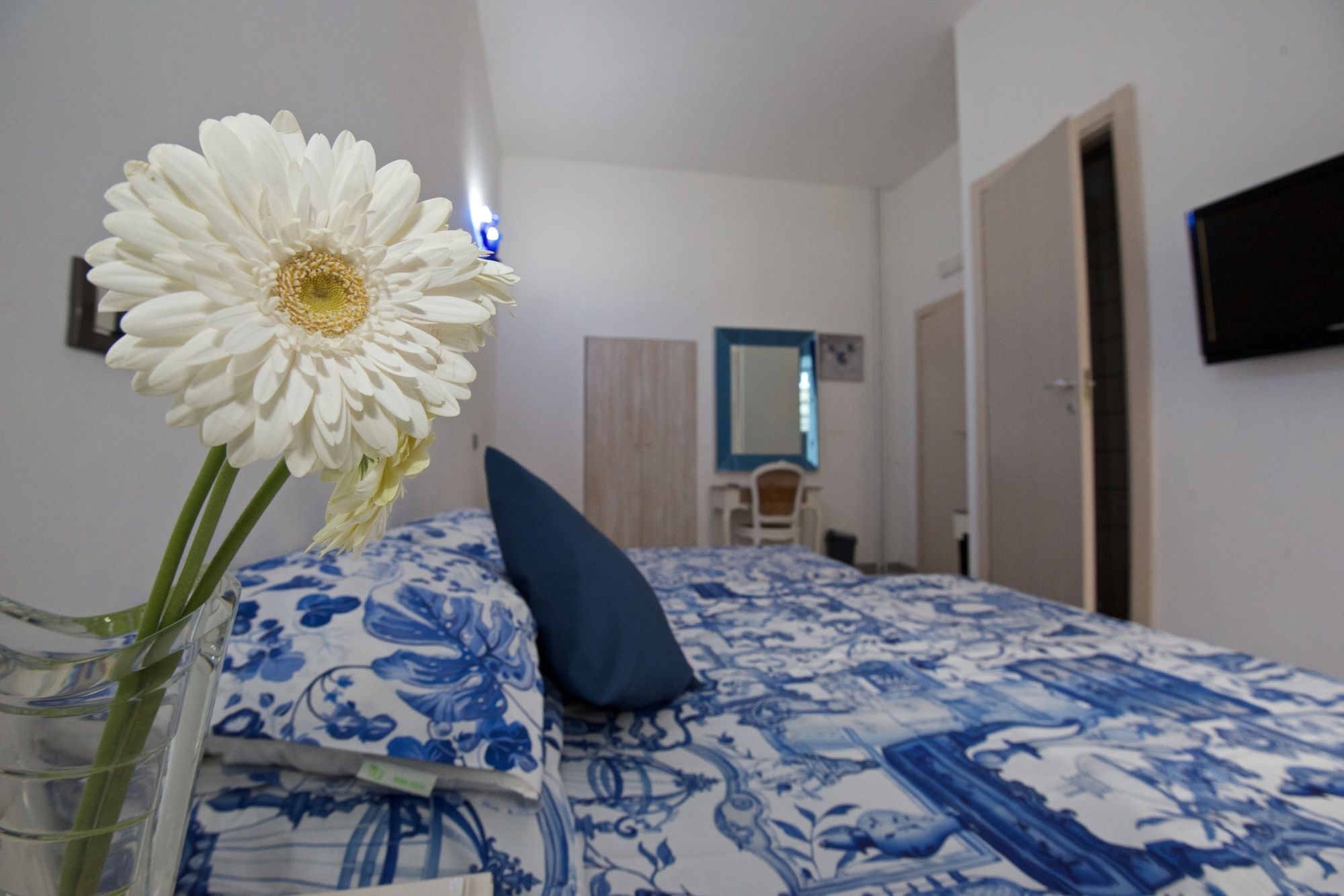 Фото White Vatican