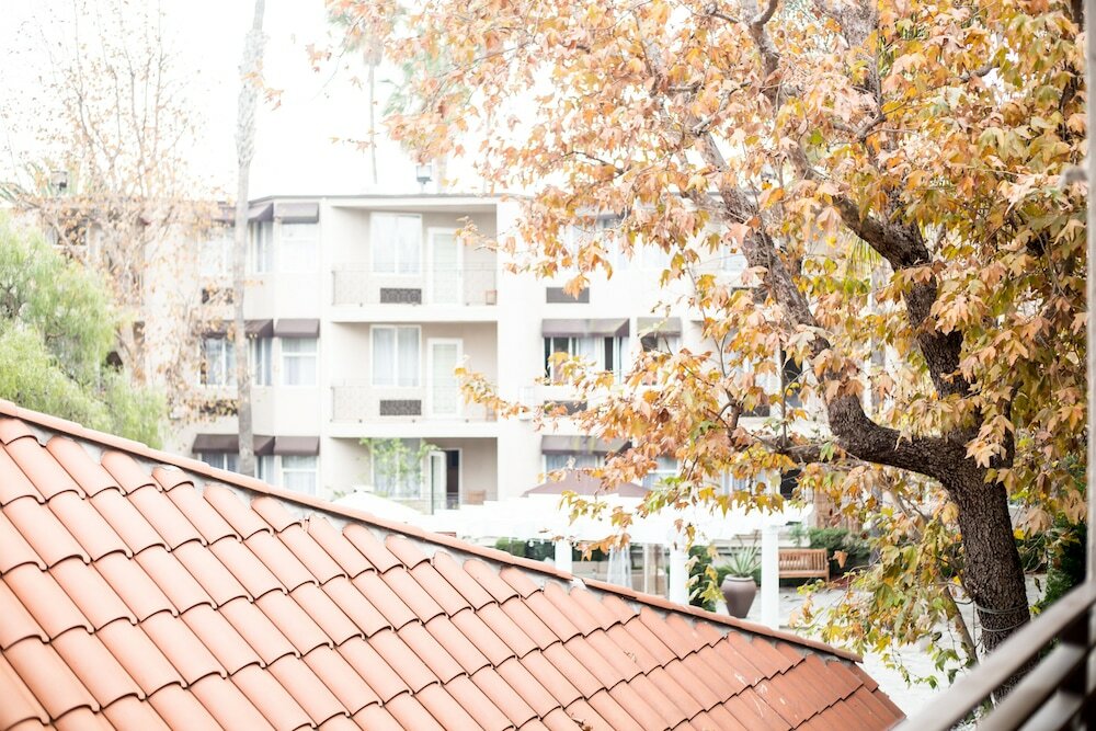 Фото Belamar Hotel Manhattan Beach, Tapestry Collection by Hilton