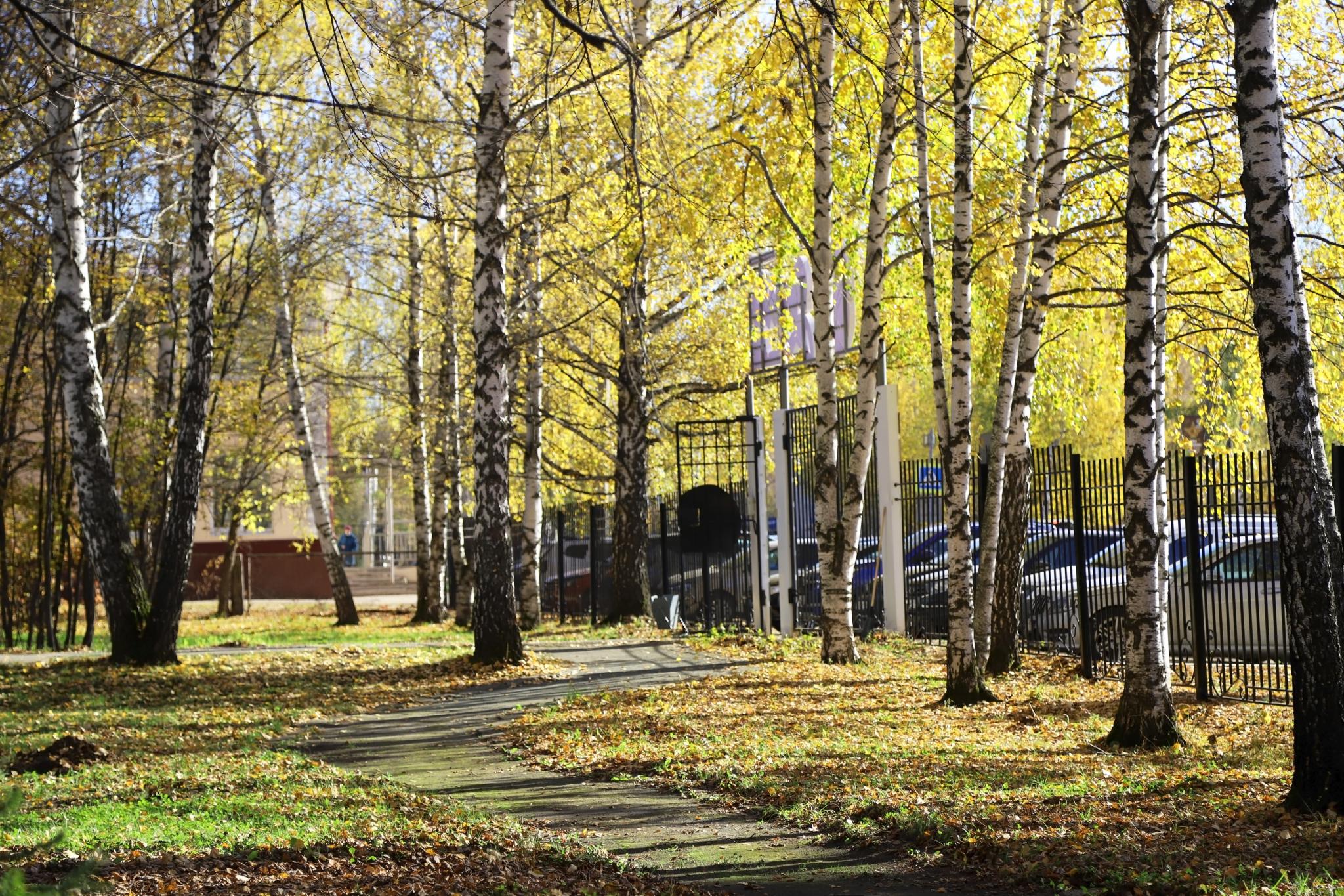 Фото Здоровье