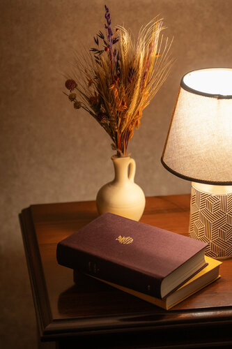 Гостиница Солемио в Воронеже