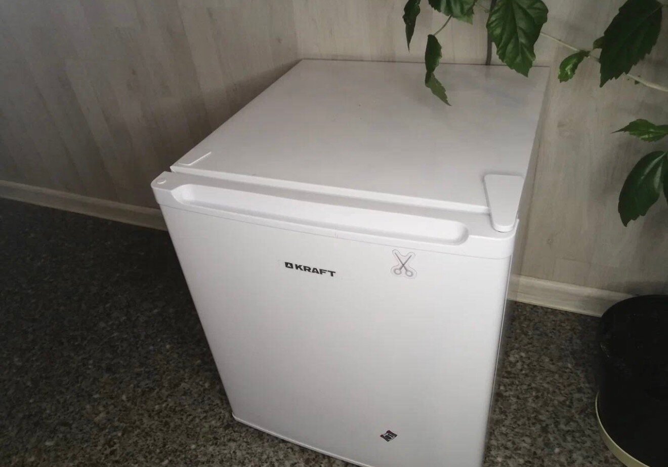 Фото Чемпион