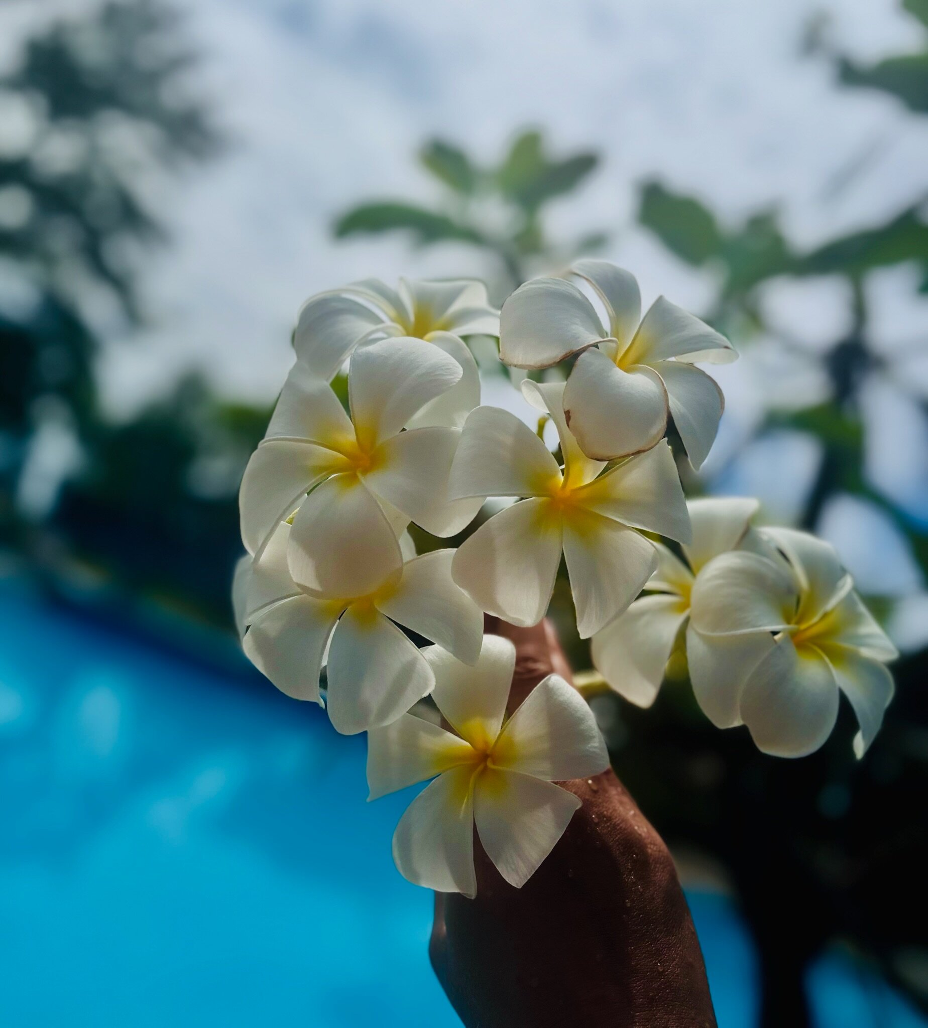 Фото Hoang Ngoc Beach Resort