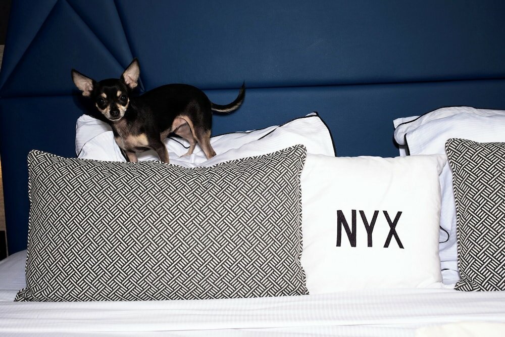 Фото NYX Hotel Limassol