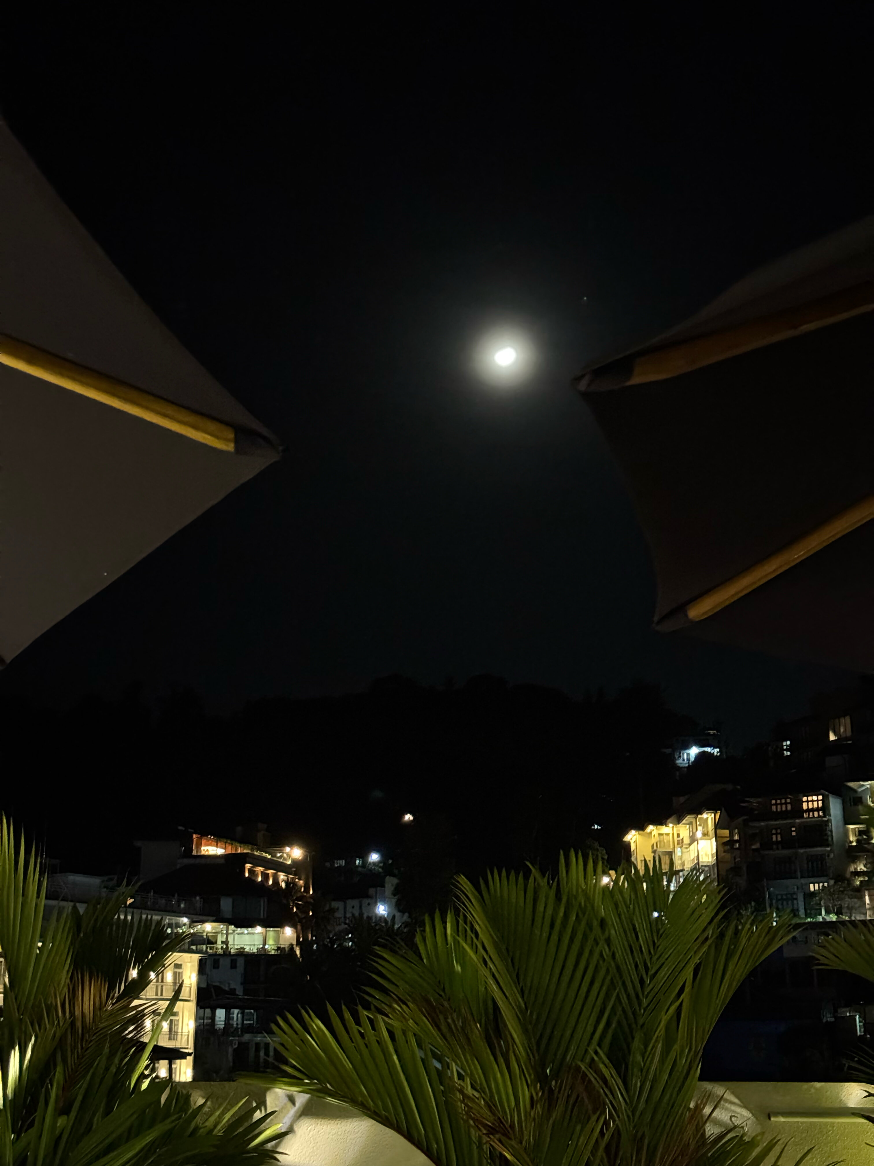 Фото Radisson Hotel Kandy