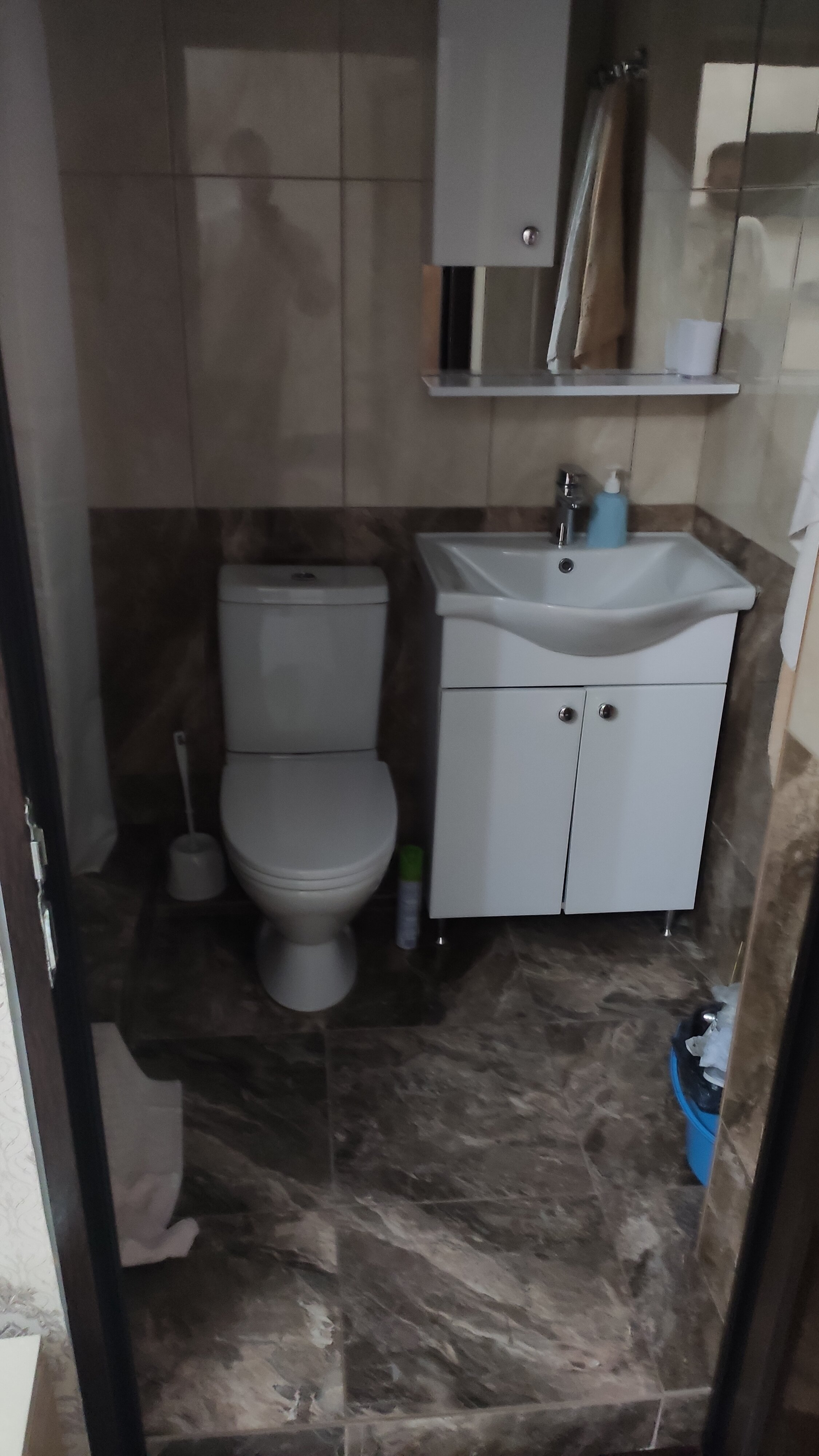 Фото Viva Камелия