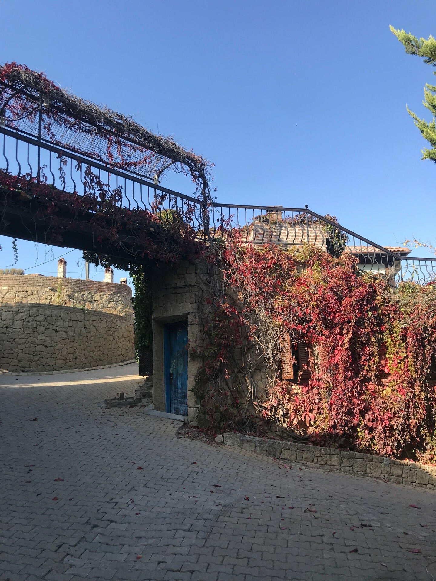 Фото Manici Kasri