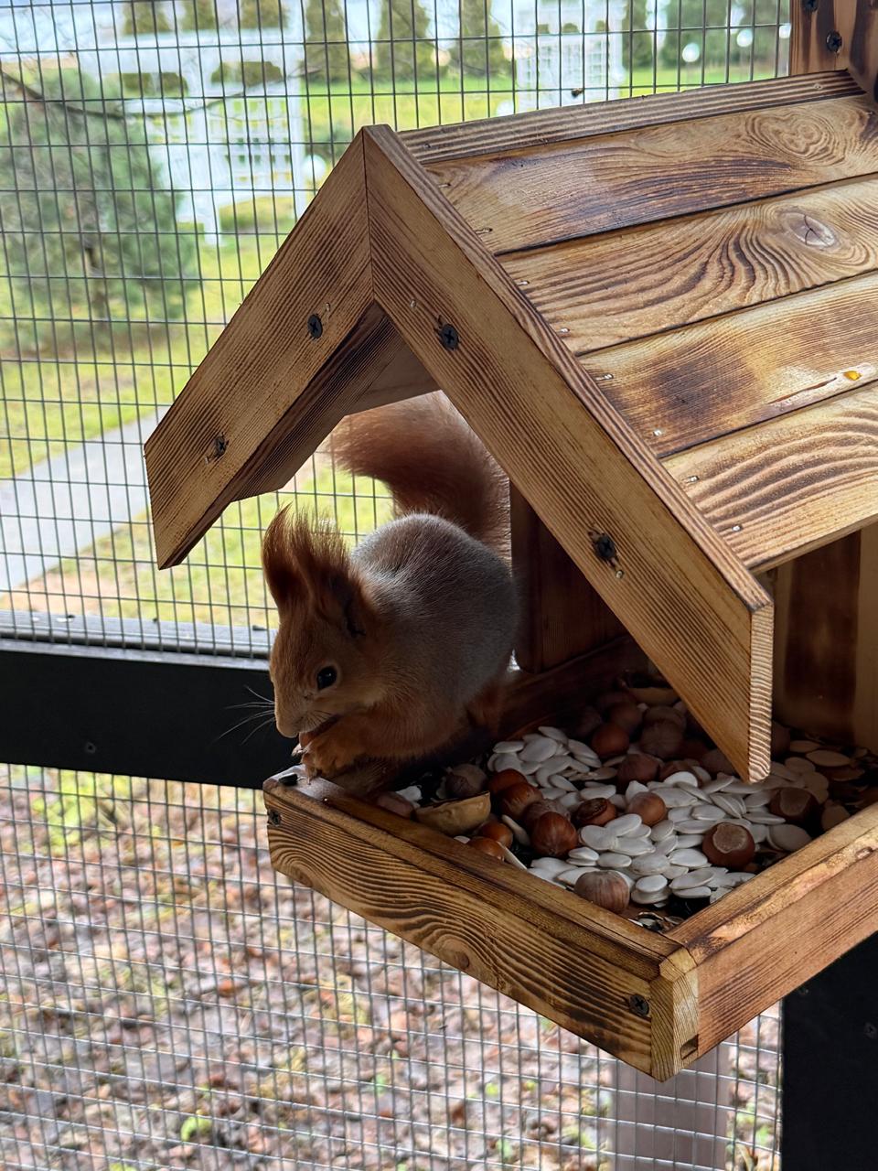 Фото ГК Бригантина