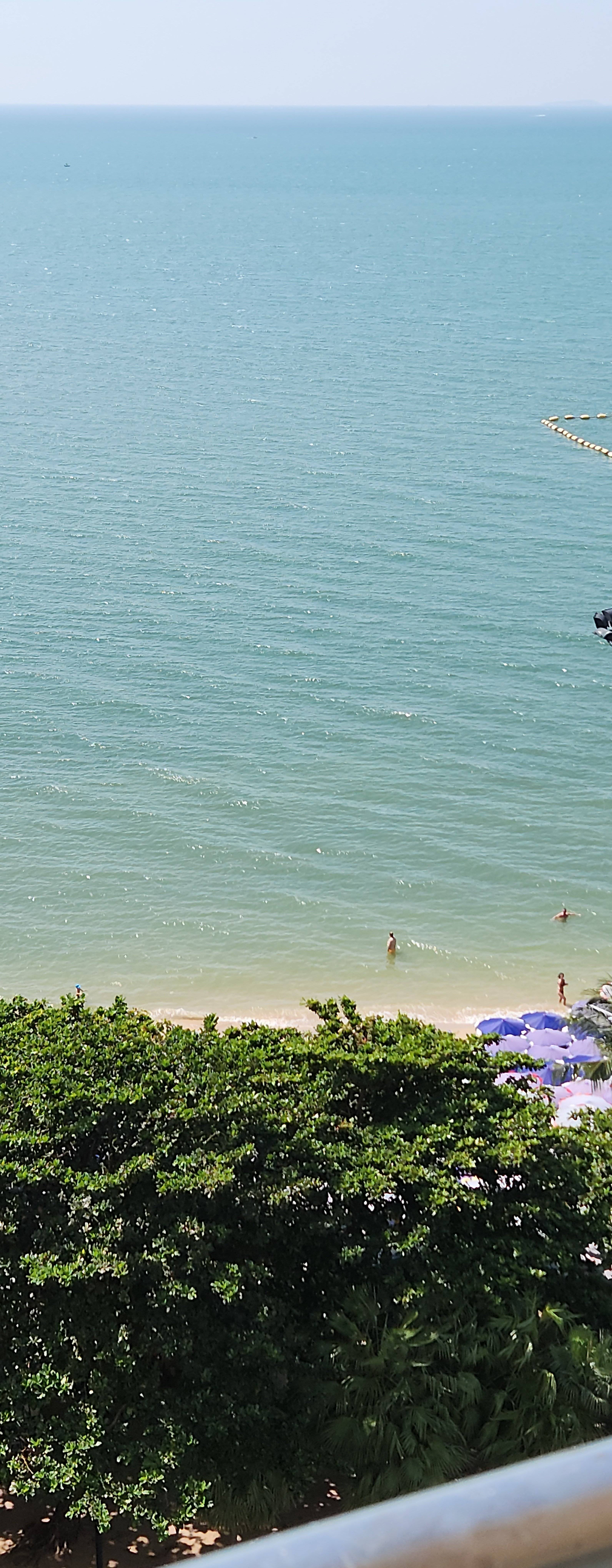 Фото Adriatic Palace Hotel