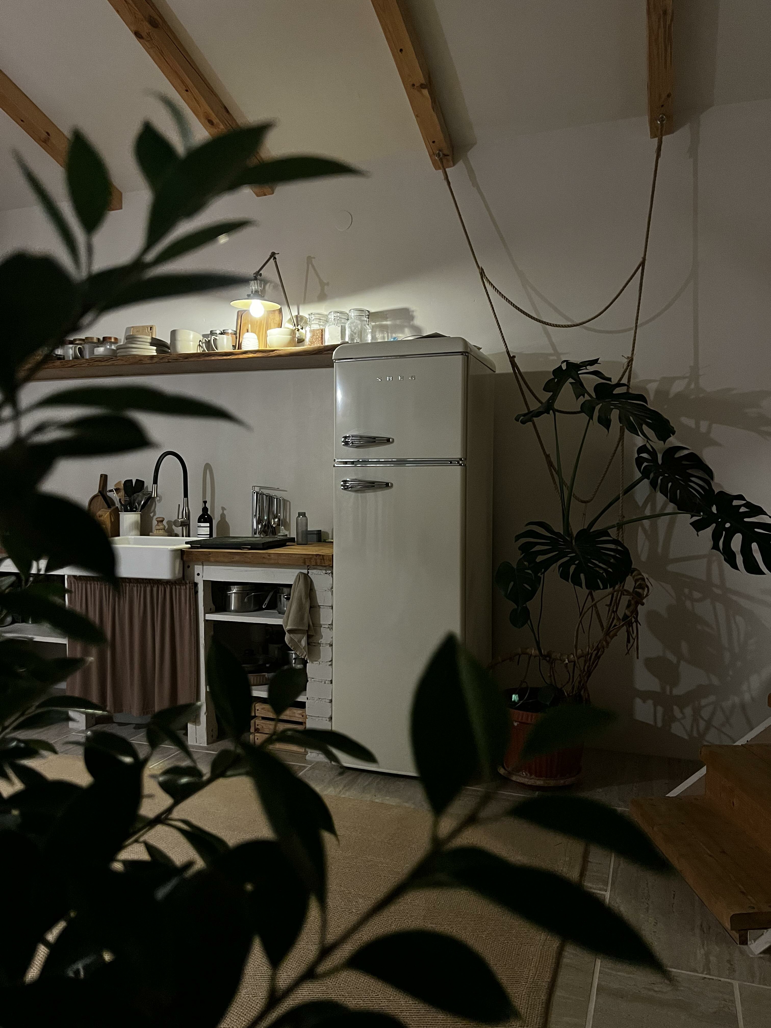 Фото Твоя Дача