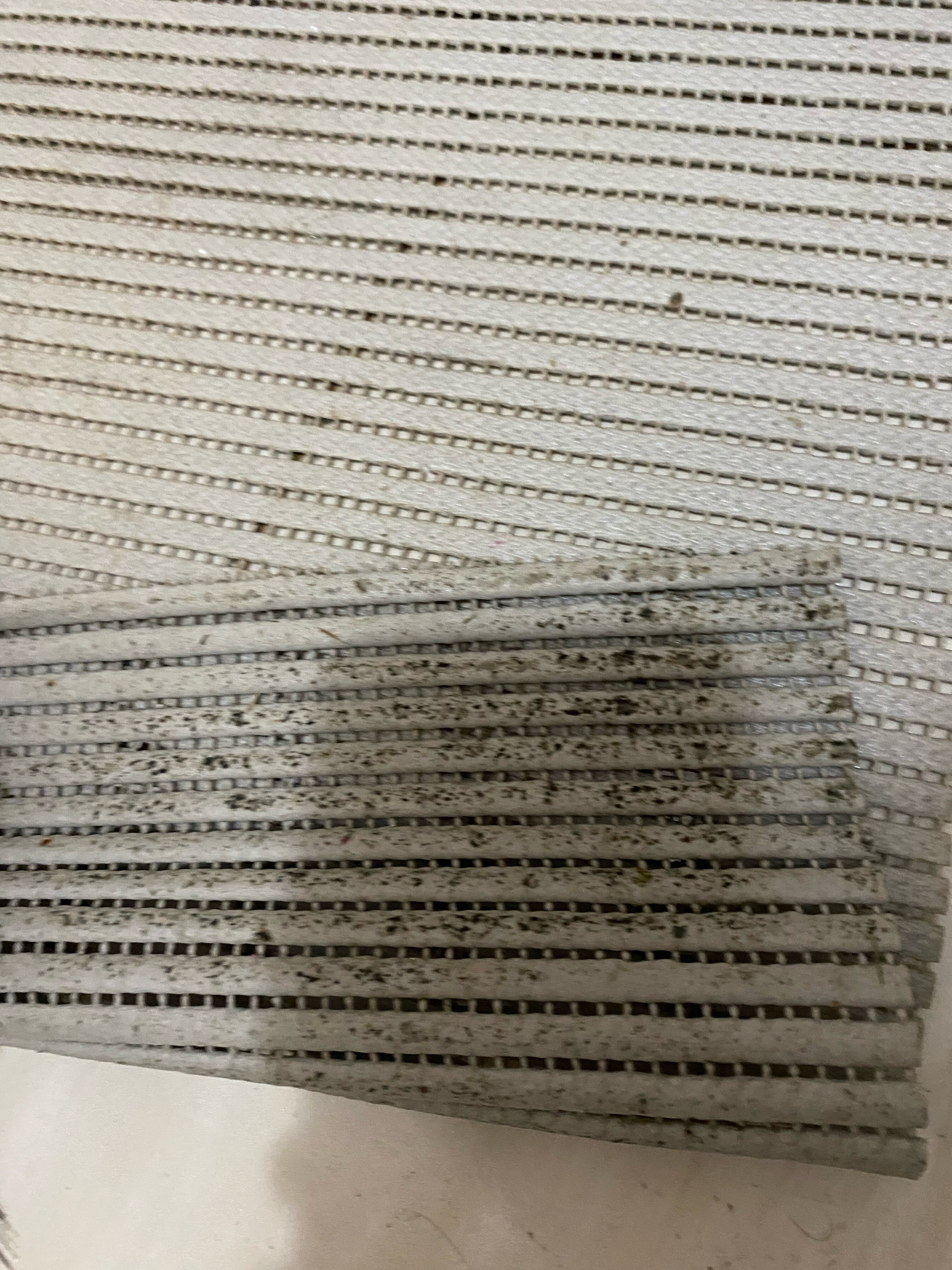 Фото У Комаровых