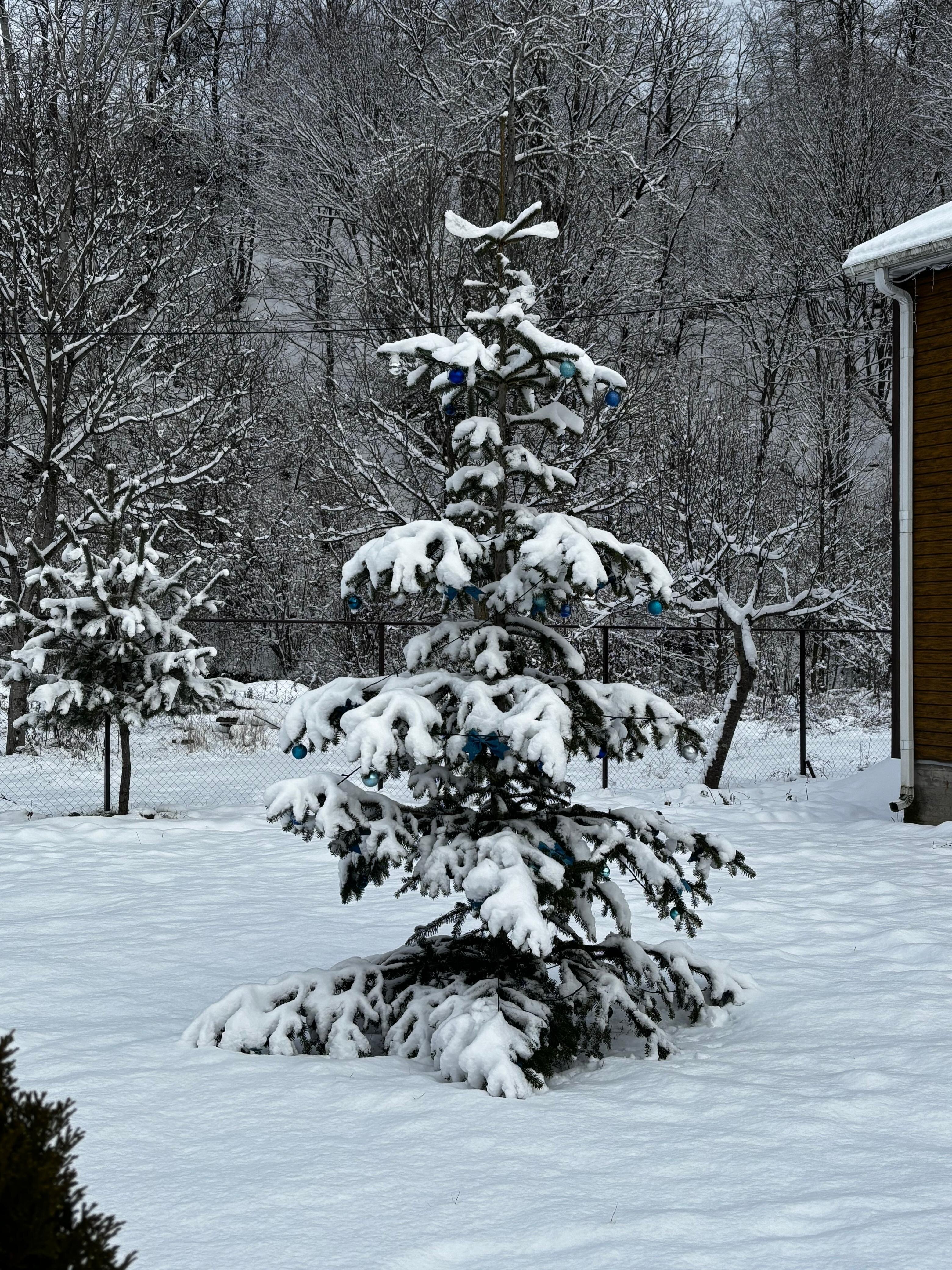 Фото Дом у озера