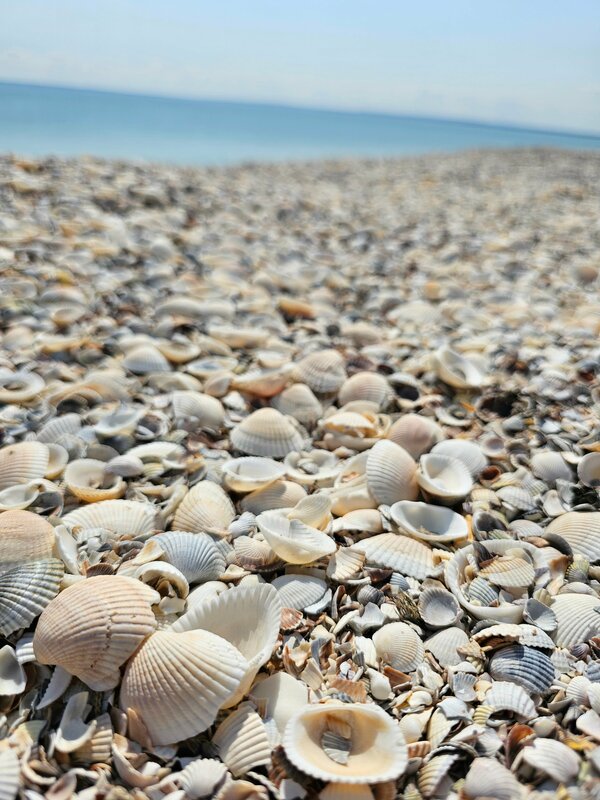 Villa White — фото 49