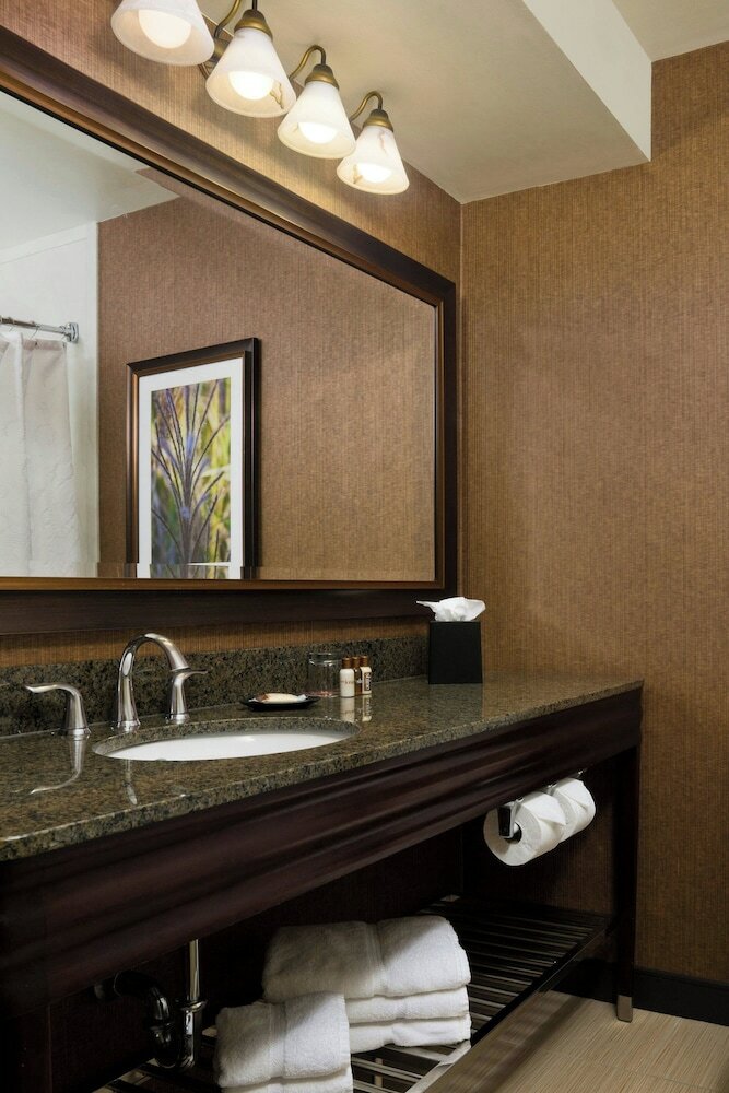 Фото Sheraton Springfield Monarch Place Hotel