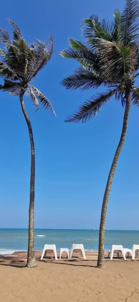 Фото New Robinson Plage