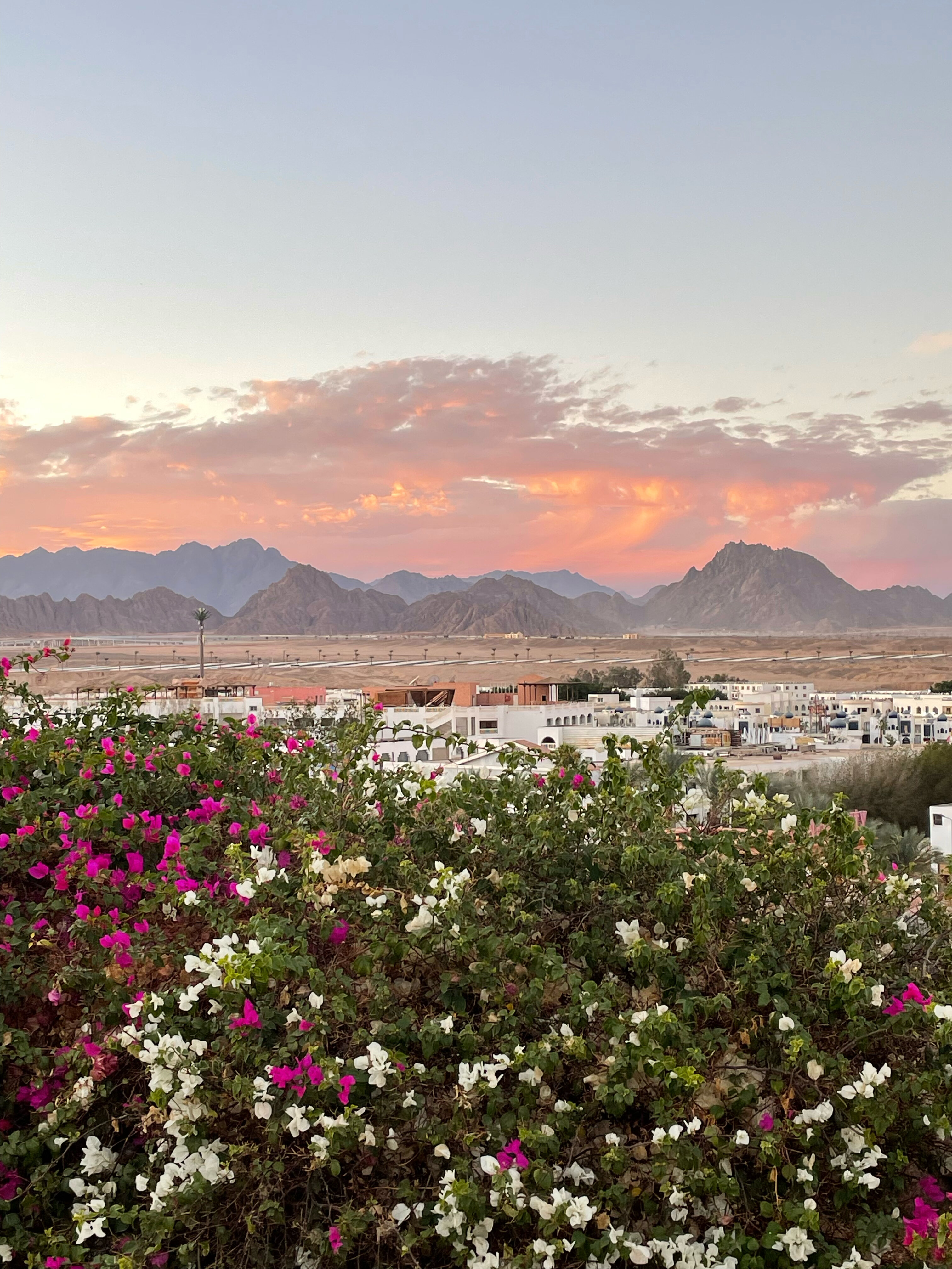 Фото Sharm Cliff Resort
