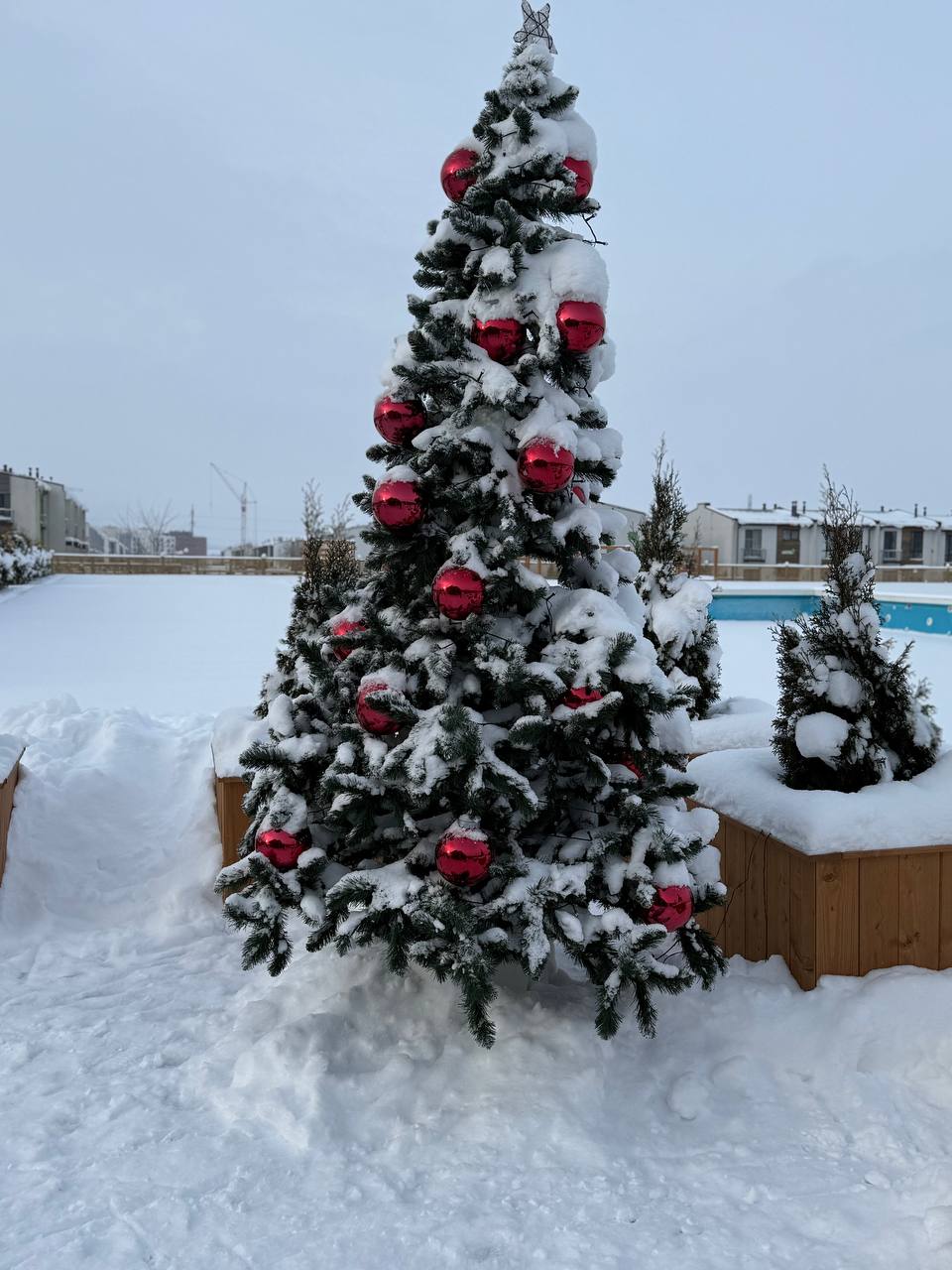 Фото Romanovo Hotel