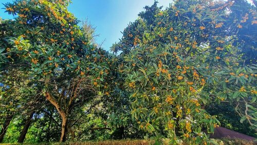 Внешний вид отеля Villa Sargiano в Ареццо, фото 4