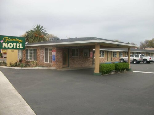 Гостиница Flamingo Motel в Вест Сакраменто