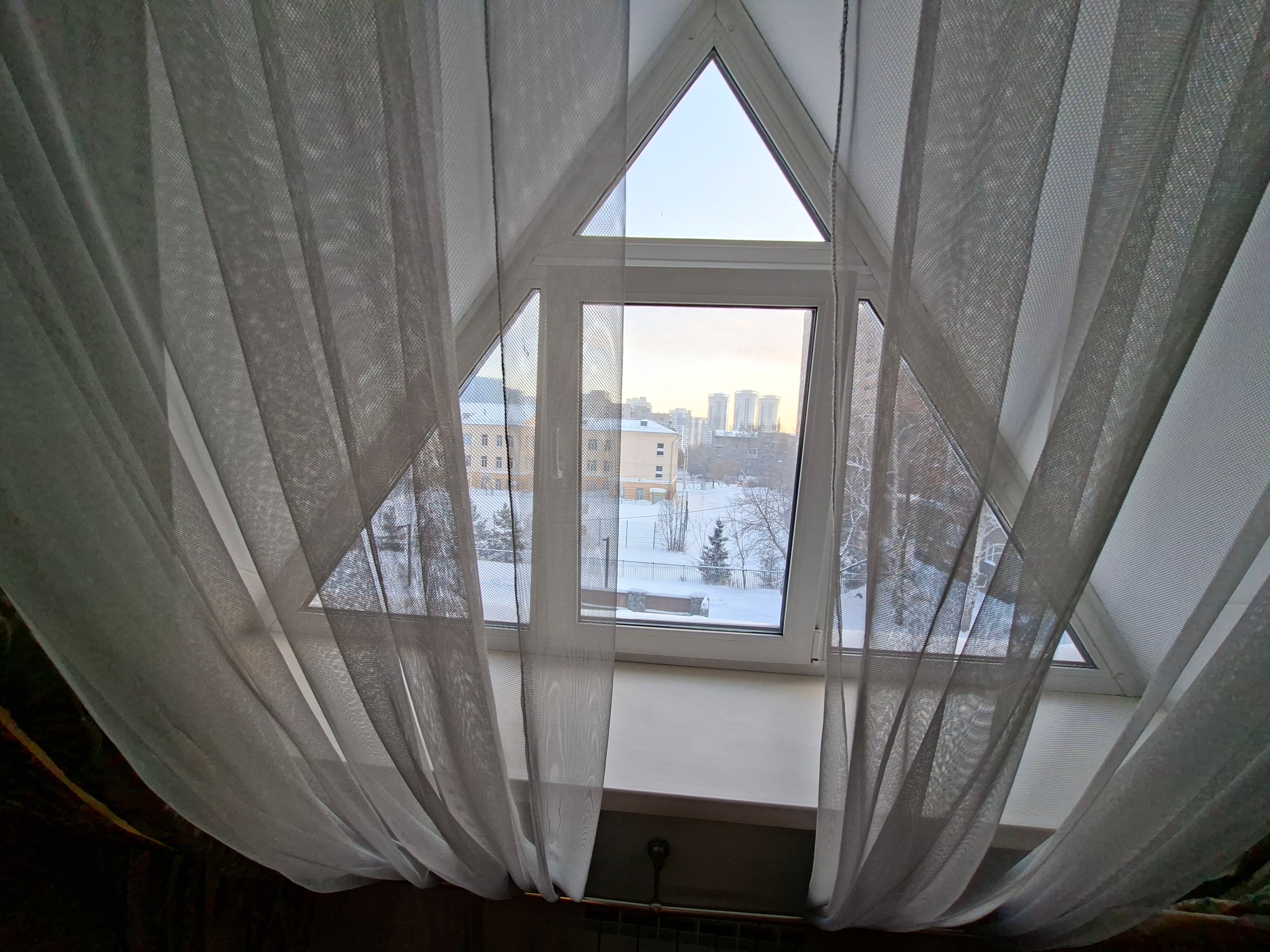 Фото Колибри