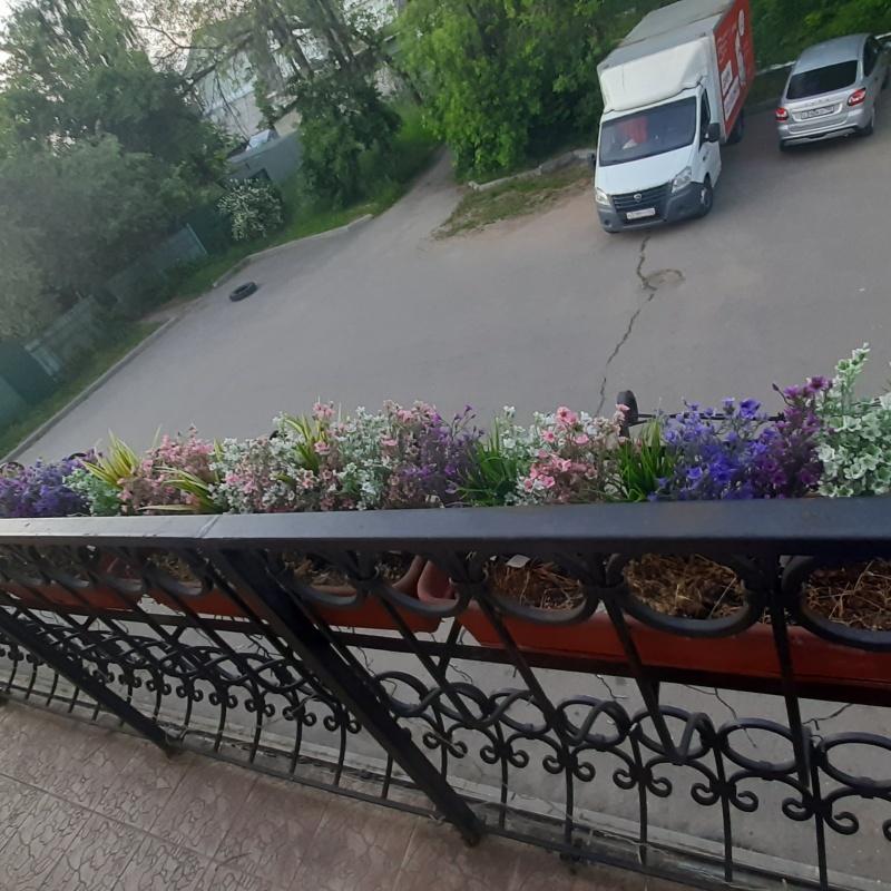 Фото Роза Ветров