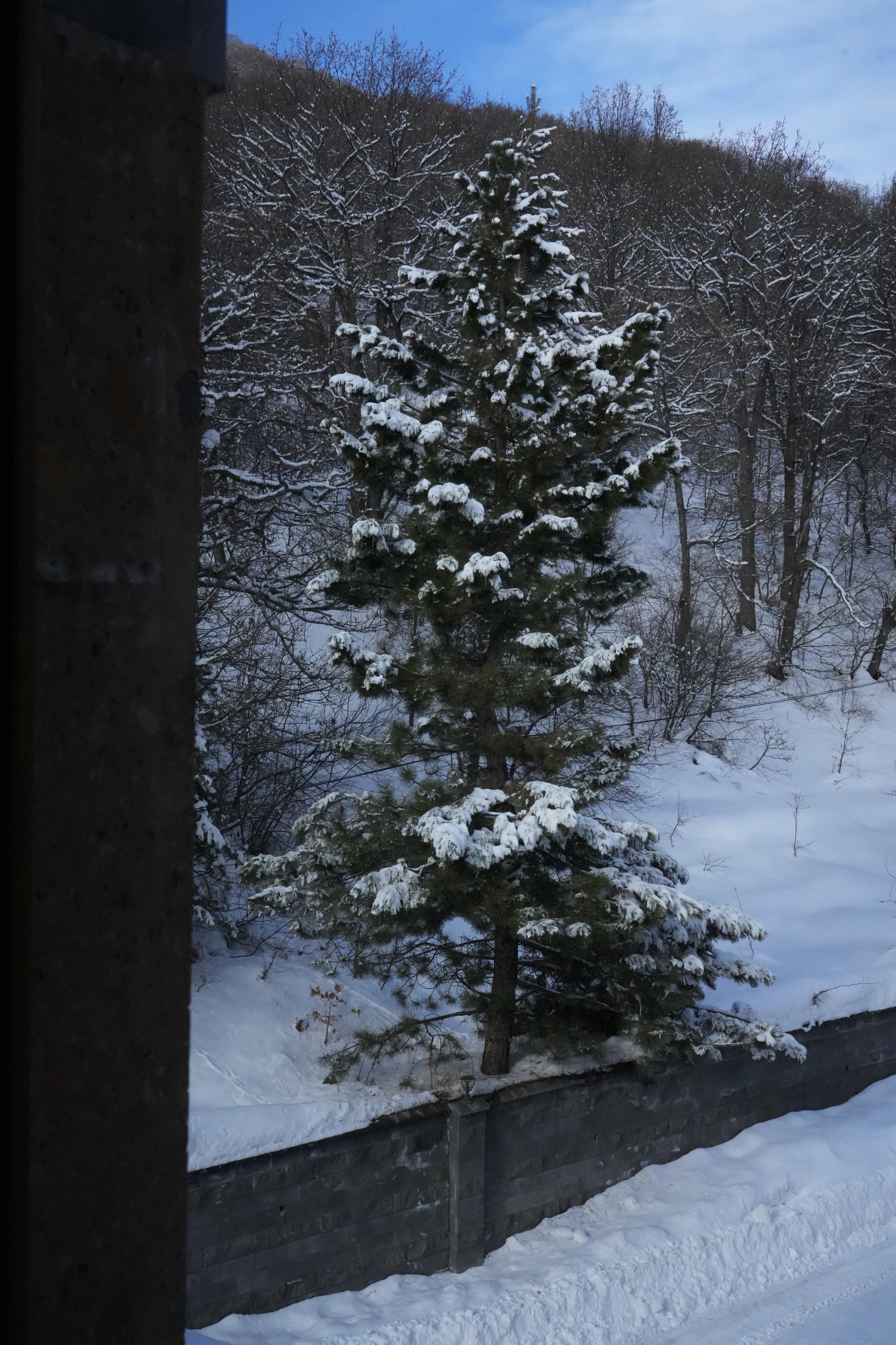 Фото 41928510505