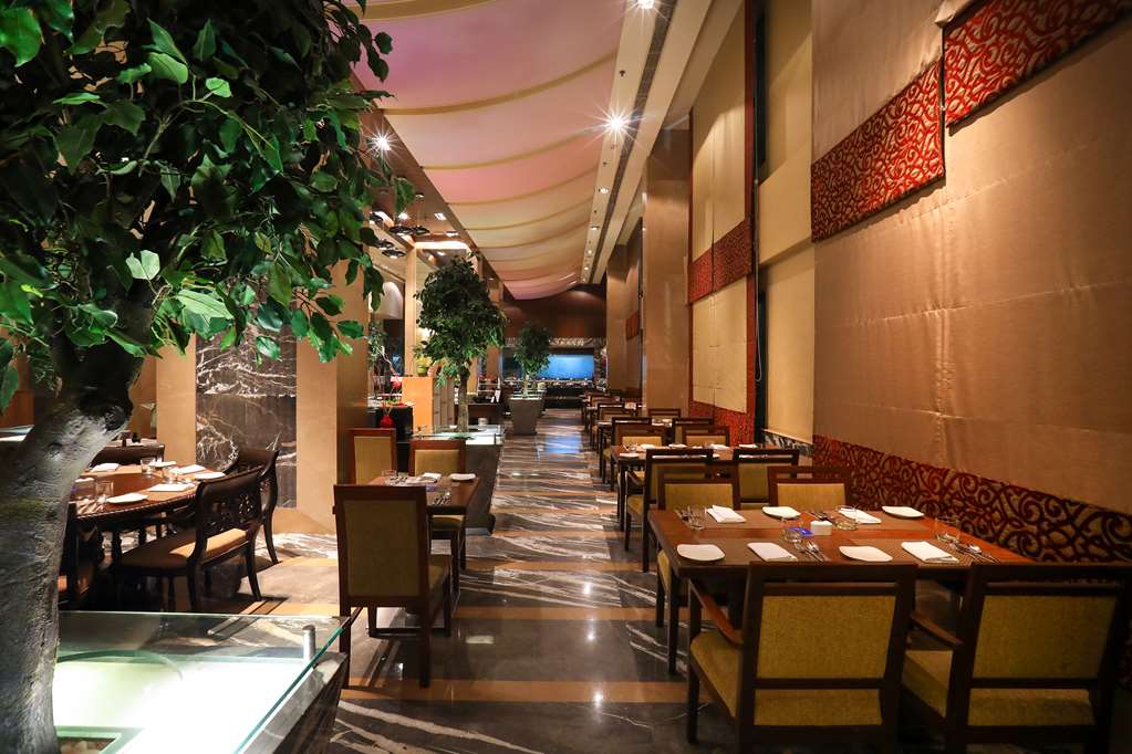 Фото Radisson Blu Hotel Chennai City Centre