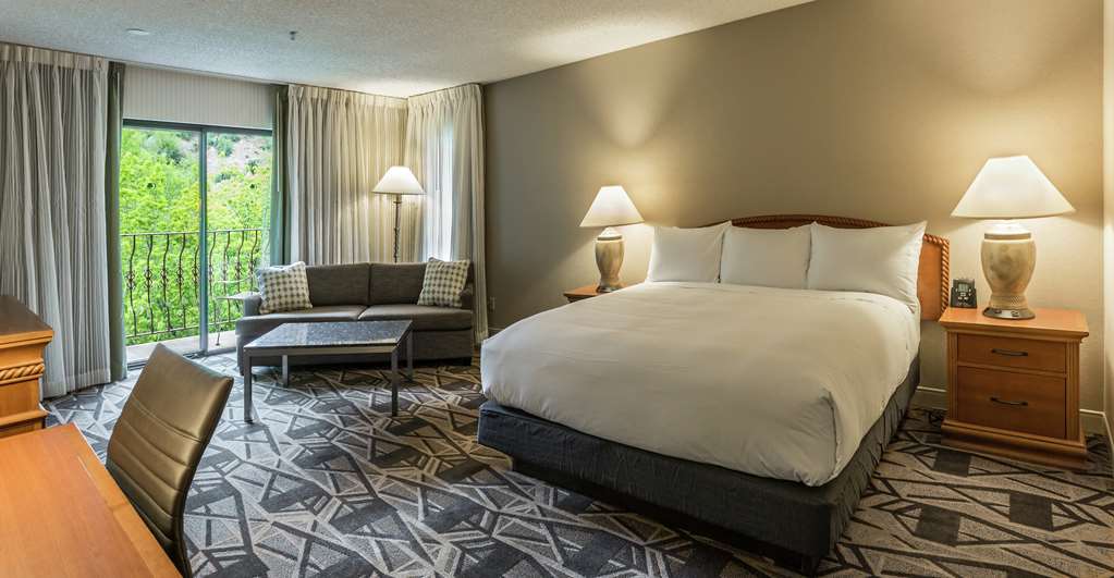 Фото DoubleTree by Hilton Durango