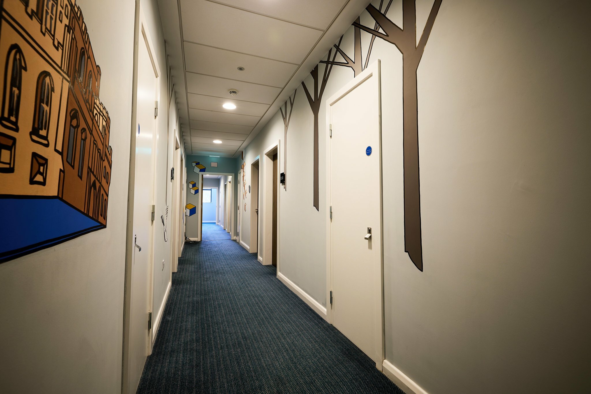 Фото The niu Loom