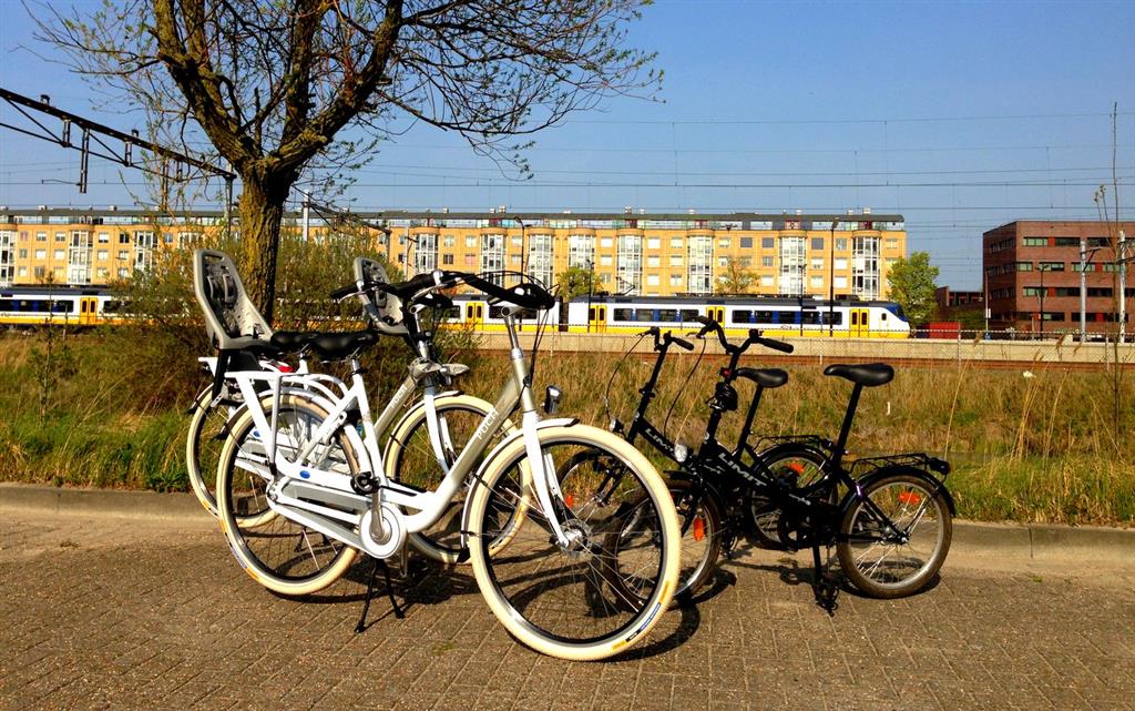 Фото Best Western Zaan Inn