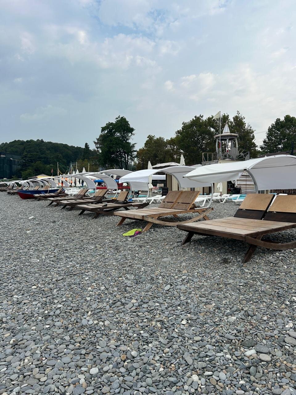 Фото Кипарис