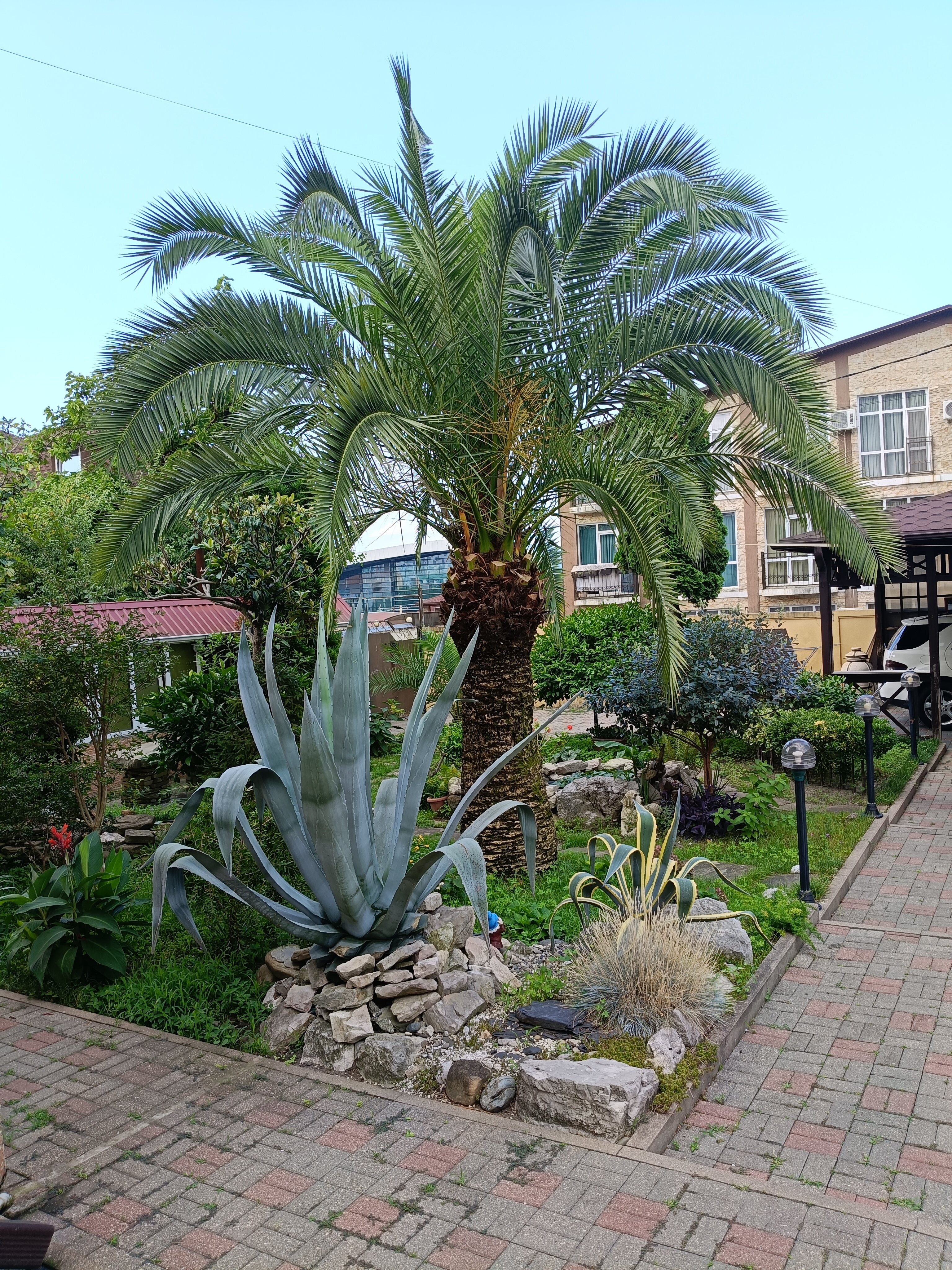 Фото отеля 2