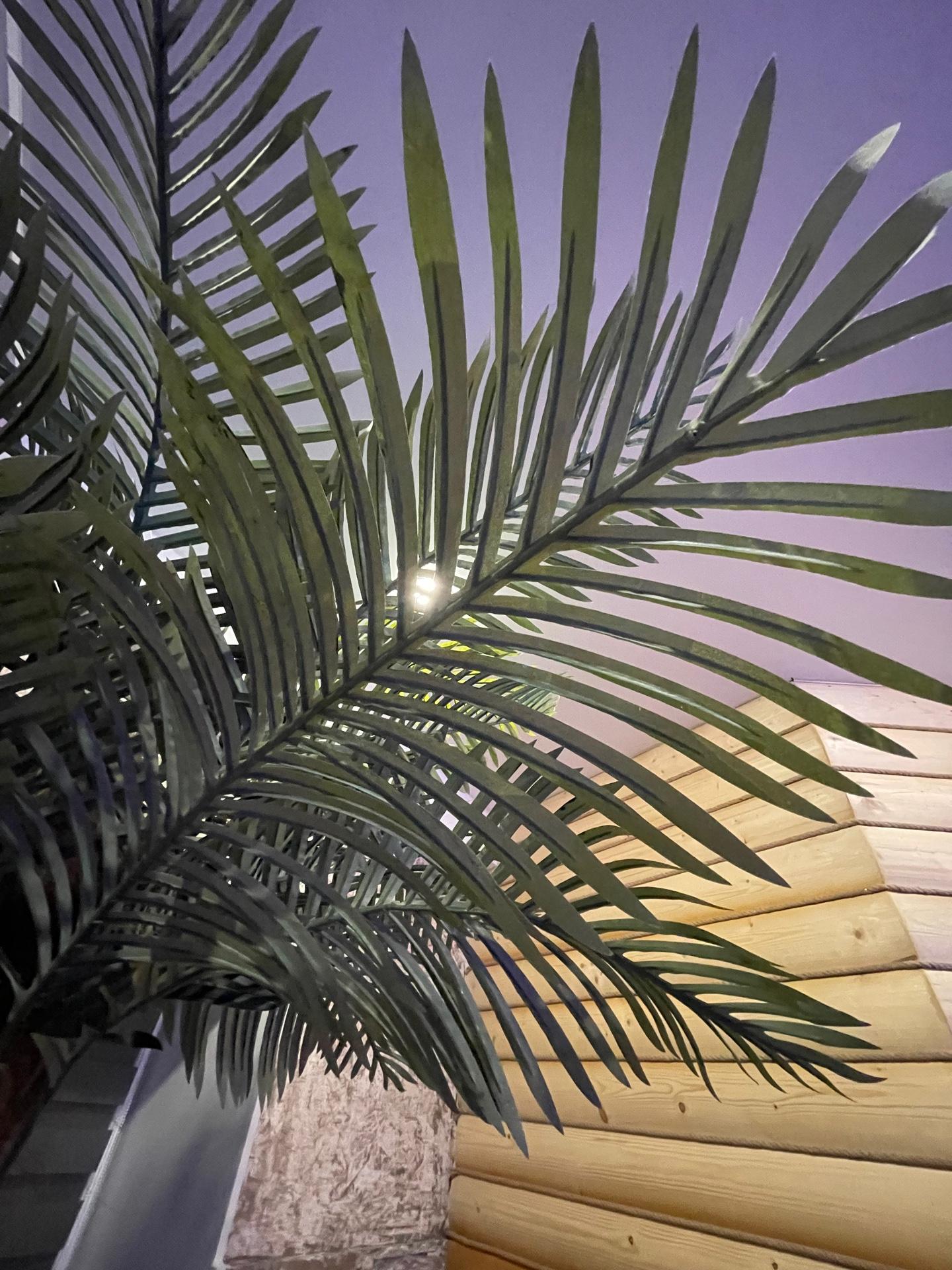 Фото Чемодан