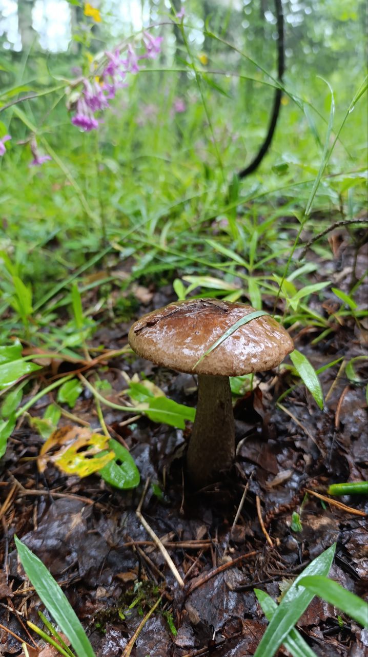 Фото Три озера Валдай