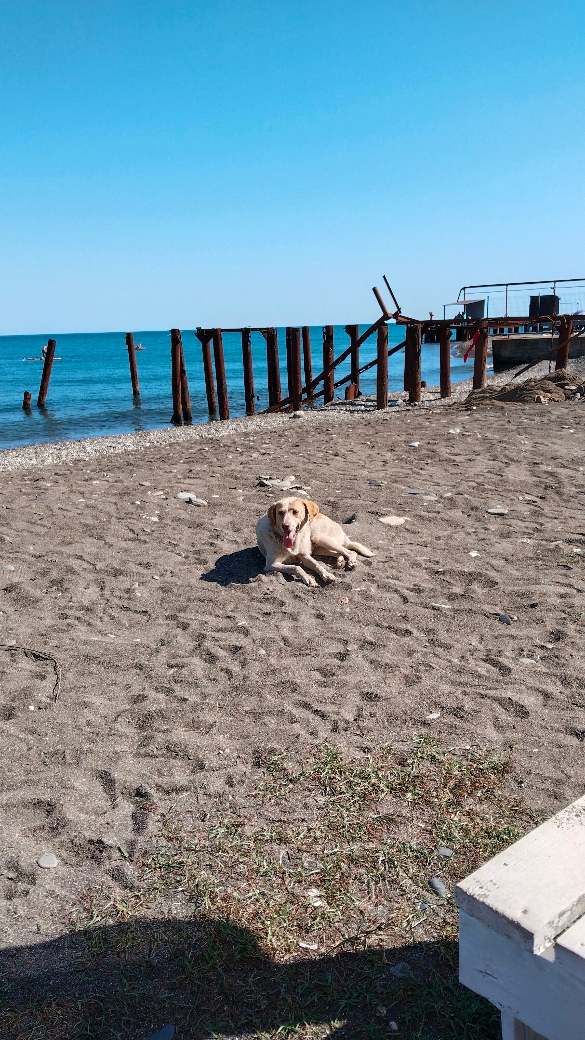 Фото Гранд Отель Маяк