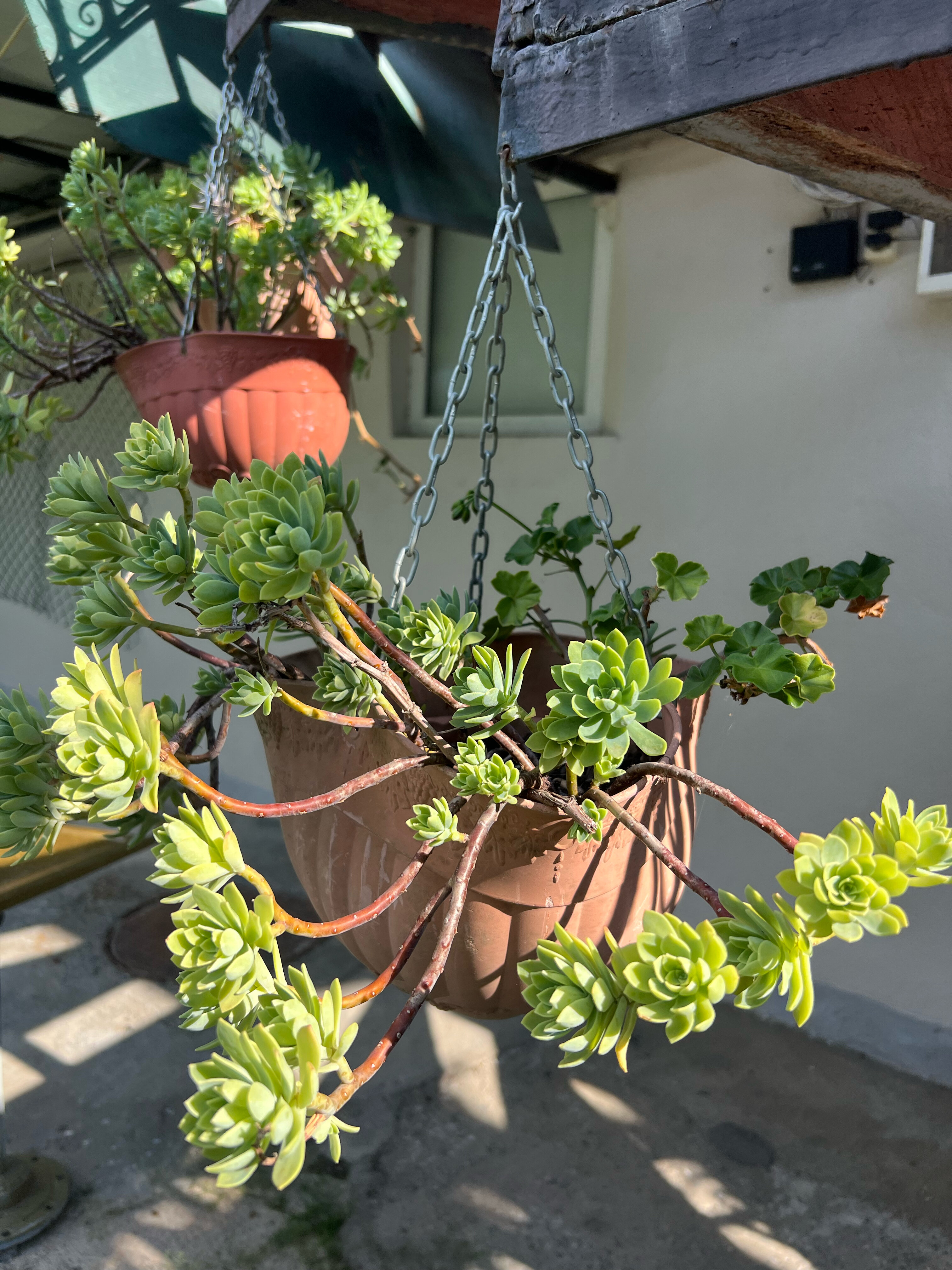 Фото Аджинджал