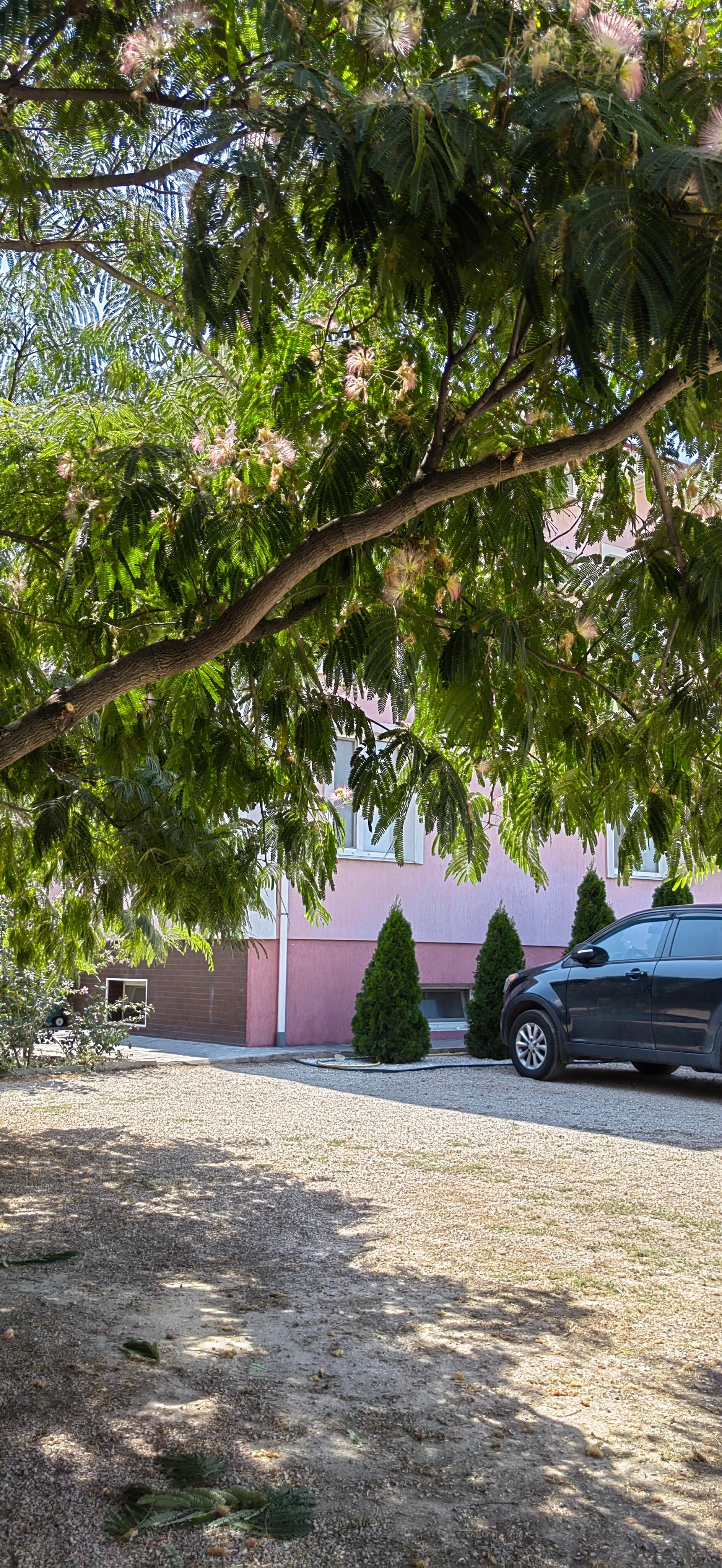 Фото Байрам