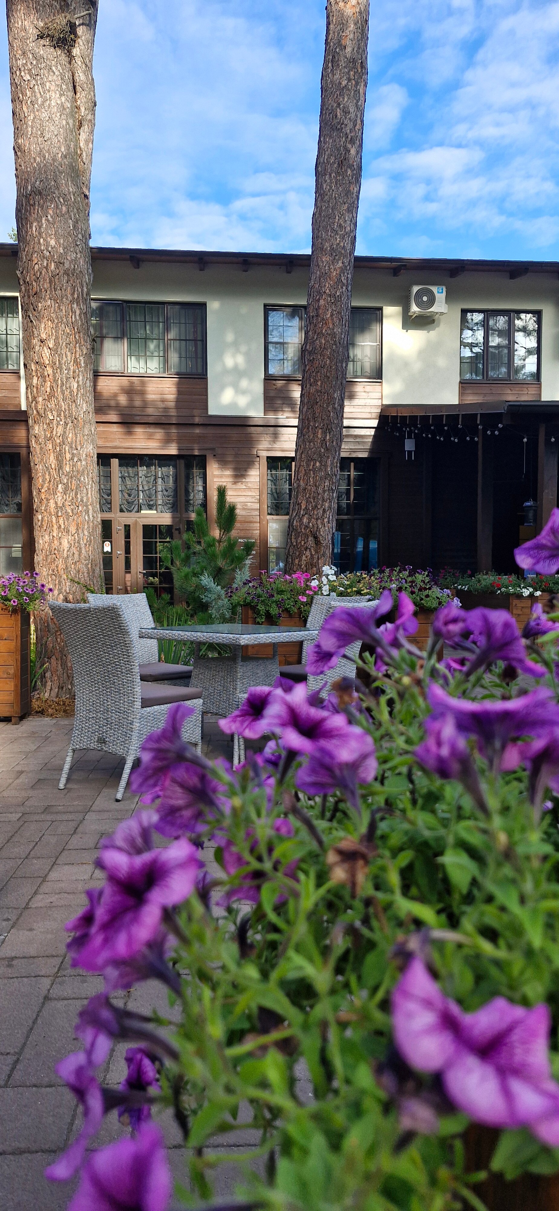 Фото Икорец